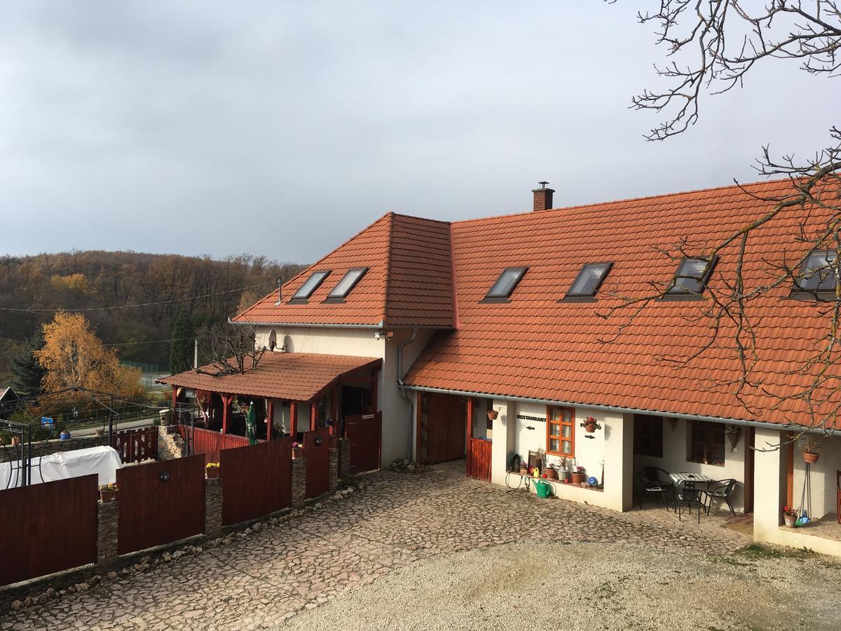 Bakonyi Apartmanhaz Epleny Bagian luar foto